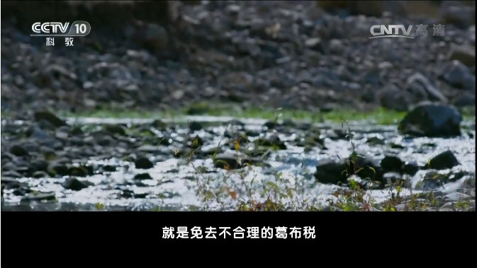 王阳明一到庐陵县令任上，就为百姓做主，免了不合理的葛布税。《百家讲坛》 20170419 五百年来王阳明(11)致良知00002.jpg