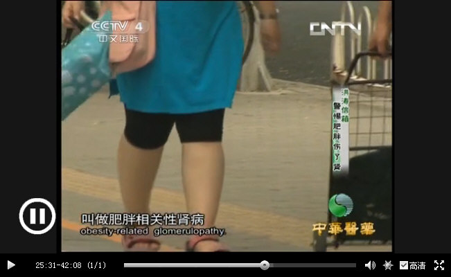 CCTV｛中华医药｝20130925《肥胖相关性肾病》_018_4.jpg