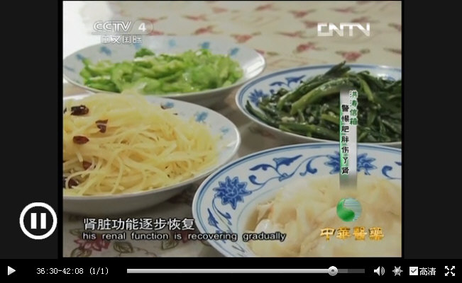 CCTV｛中华医药｝20130925《肥胖相关性肾病》_029.jpg