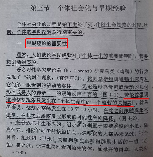 snap06191.jpg