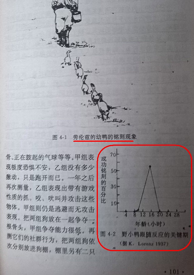早期经验对个体社会化的重要性2.jpg