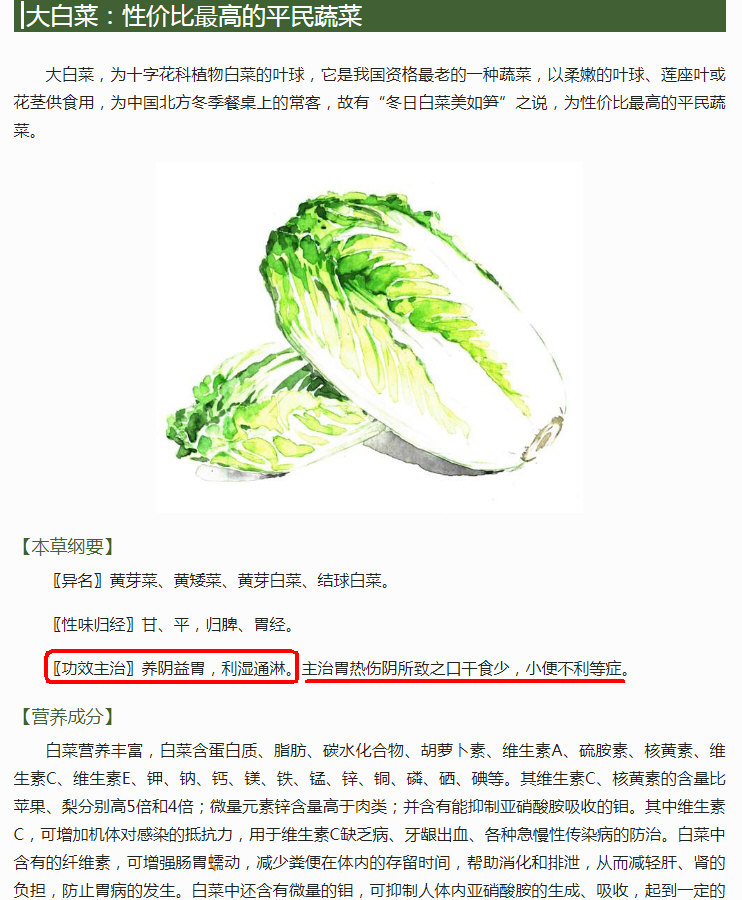 大白菜：性价比最高的平民蔬菜(勾注).jpg