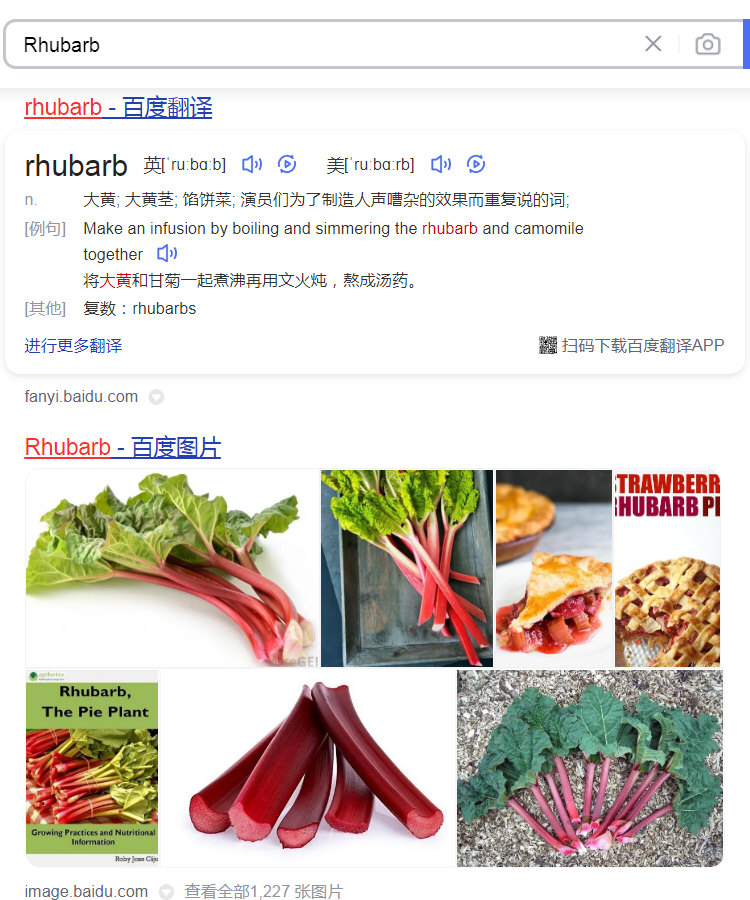 Rhubarb_百度搜索.jpg