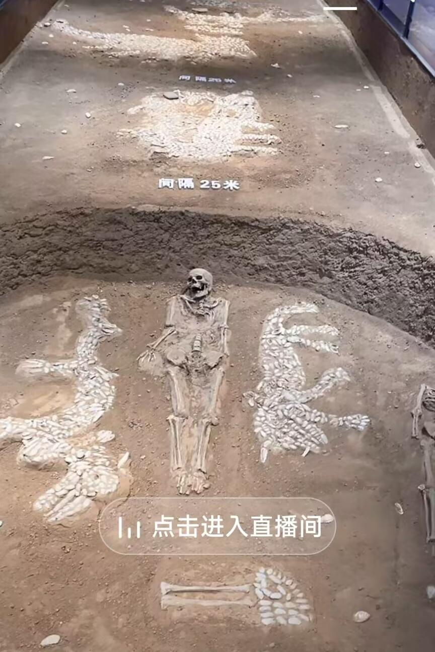 微信图片_20250518161157.jpg