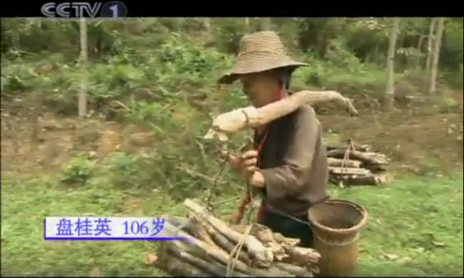 海南的百岁老人盘桂英01.png