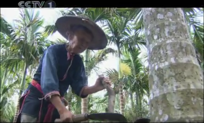 海南的百岁老人盘桂英03.png