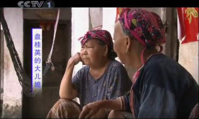 海南的百岁老人盘桂英05.png