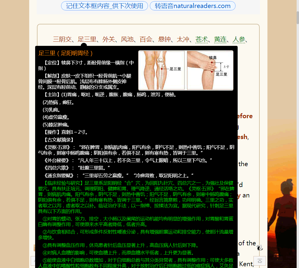 电脑截屏：Base64｛中医英文描词点读查询系统｝_05.png
