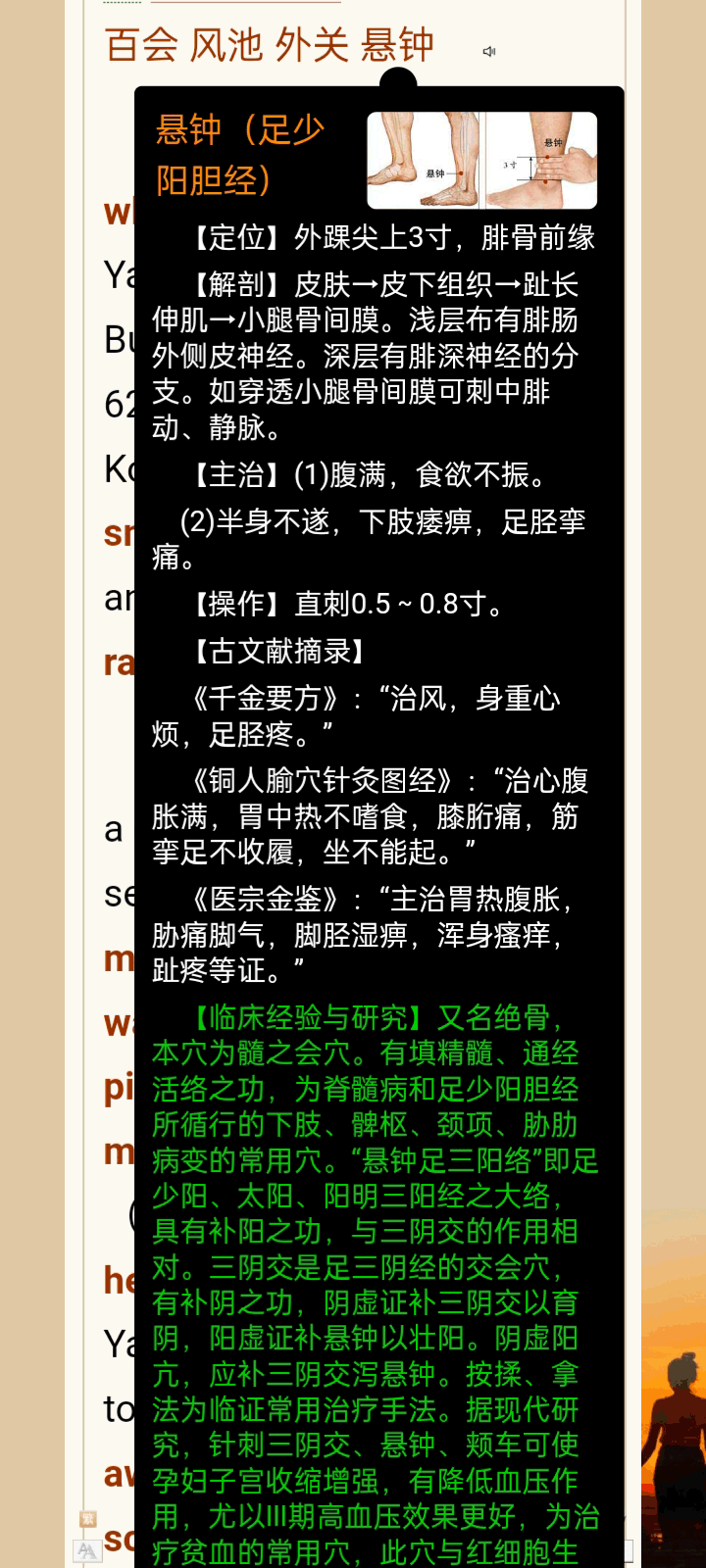 手机截屏：Base64｛中医英文描词点读查询系统｝_03.png