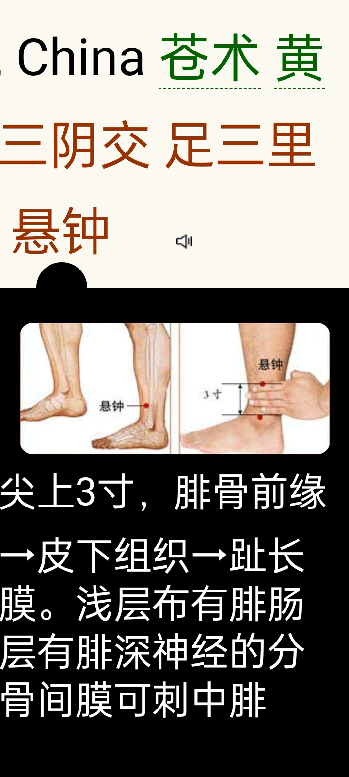 手机截屏：Base64｛中医英文描词点读查询系统｝_04.png