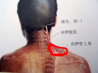 865F4342-0F09-471F-BFC0-5417506916DB.jpg