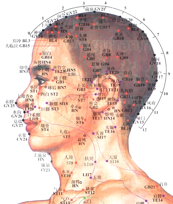 耳和髎-体表图.gif