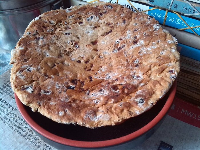 (发酵干焙)茯苓益脾饼_10.jpg