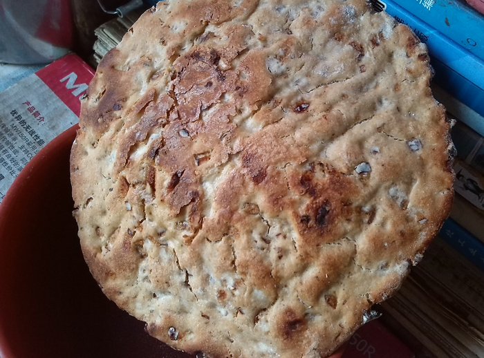 (发酵干焙)茯苓益脾饼_11.jpg