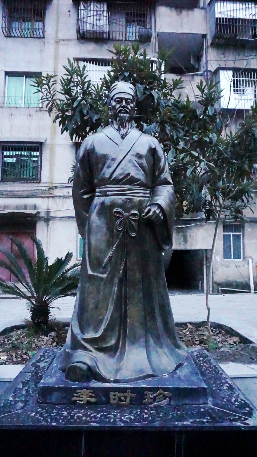 DSC05389_conew1.jpg