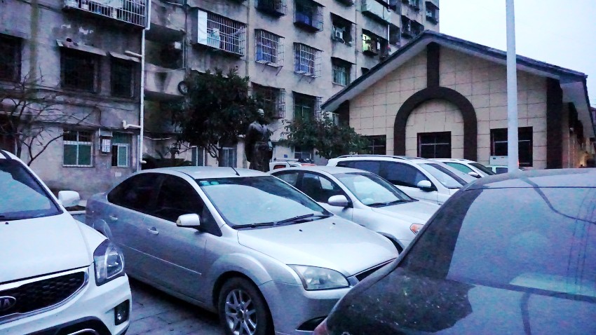 DSC05391_conew1.jpg