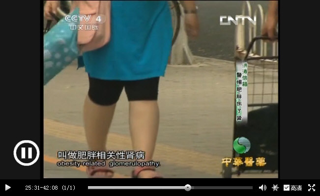 CCTV｛中华医药｝20130925《肥胖相关性肾病》_018_4.jpg