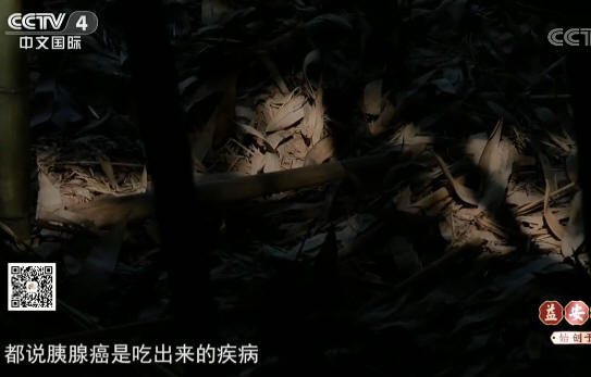 胰腺癌患者吃甲鱼后一个月就复发的案例_005.jpg