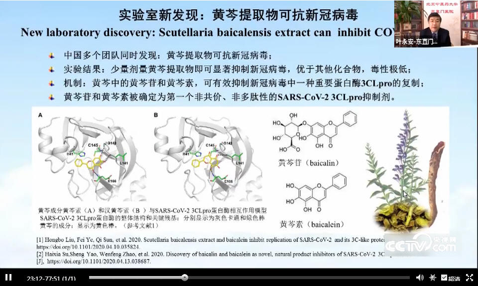 叶永安：新型冠状病毒疾病临床特征分析及重症、危重症中医救治体会_00017.jpg