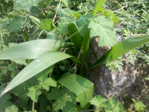2011-06-02_10-02-30_460.jpg
