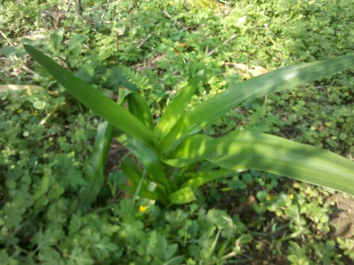 2011-06-02_10-06-17_390.jpg