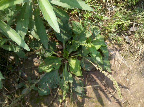 2011-06-02_10-07-41_38.jpg