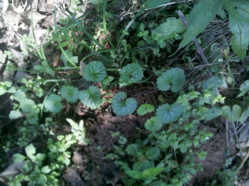2011-06-02_10-08-11_382.jpg