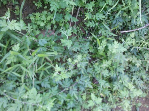 2011-06-02_10-09-00_284.jpg