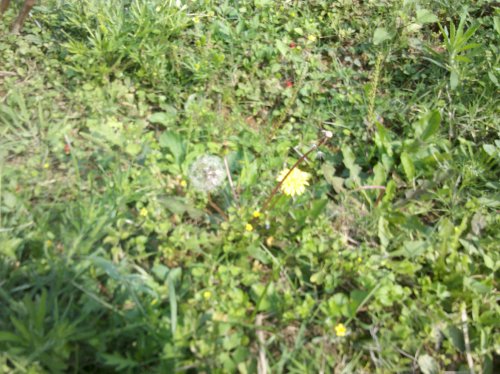 2011-06-02_10-36-46_404.jpg