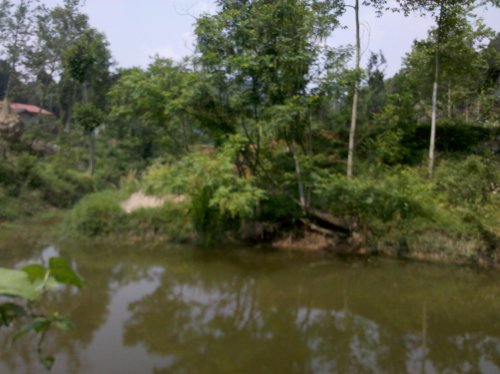 2011-06-02_11-06-39_631.jpg