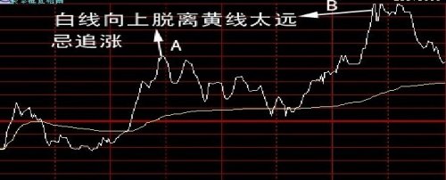 黄白1.jpg