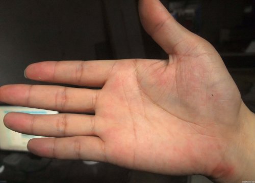 拍拍 005.jpg
