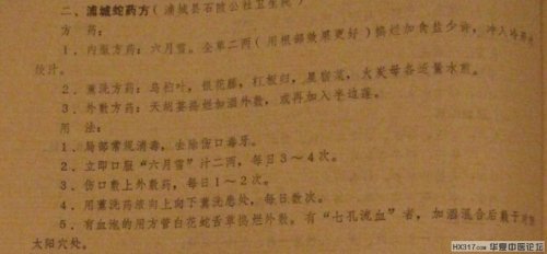 蛇伤6.jpg