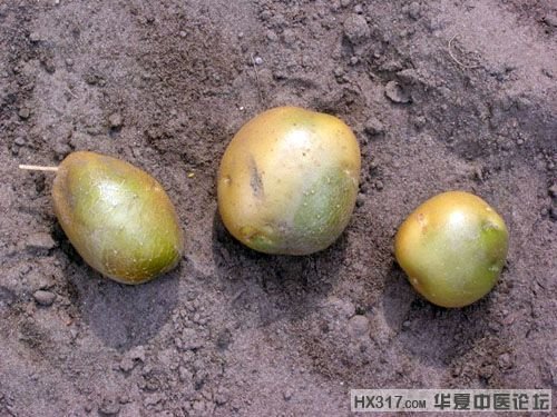 500x375--153459898.jpg