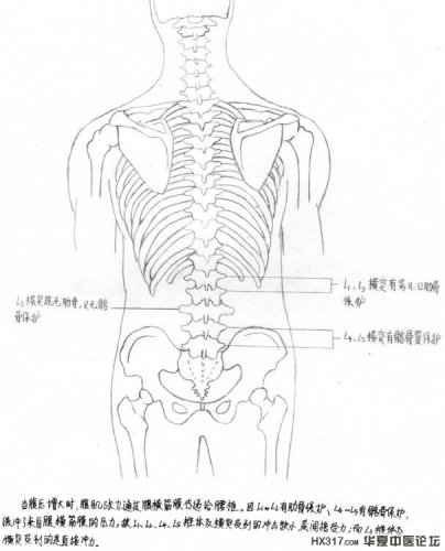 3242028781754675596[1].jpg