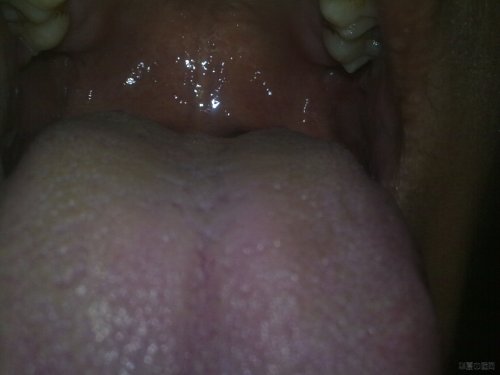 20120508186.jpg