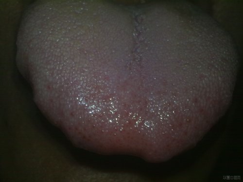 20120508182.jpg