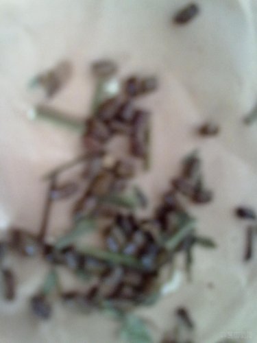 20120608112.jpg