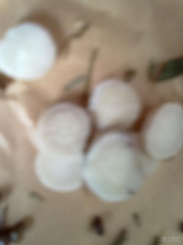 20120608113.jpg
