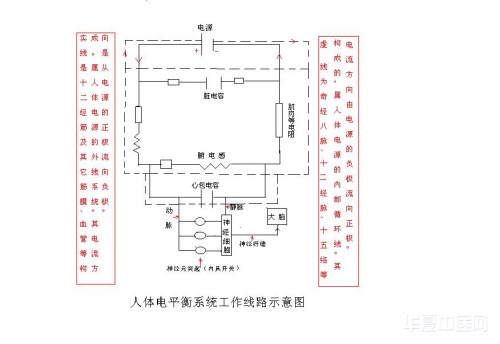 人体电平衡系统工作线路示意图.png