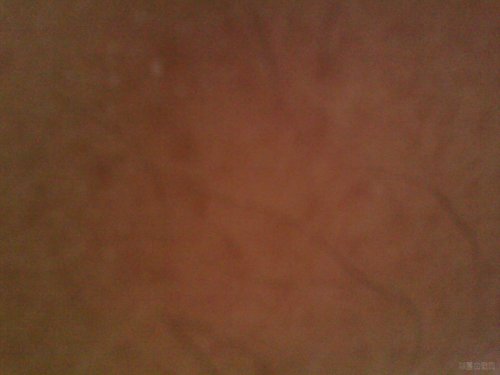 IMG_20120615_122144.jpg