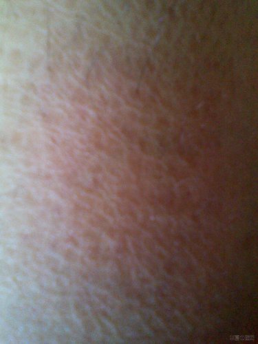 IMG_20120615_122204.jpg