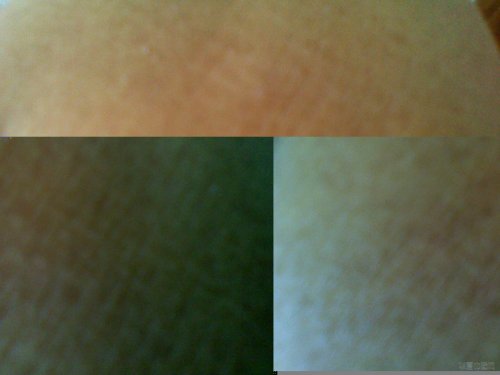 IMG_20120615_122237.jpg