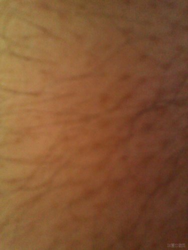 IMG_20120615_122324.jpg