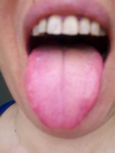 2012-06-17_11-22-50_749.jpg