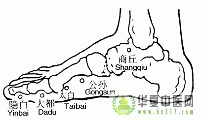 隐白.gif