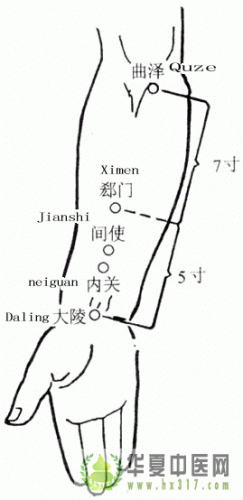 大陵.gif