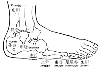 申脉.gif