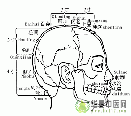 风府.gif