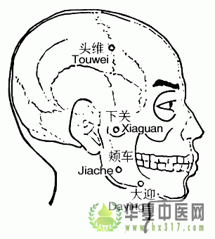 头维.gif